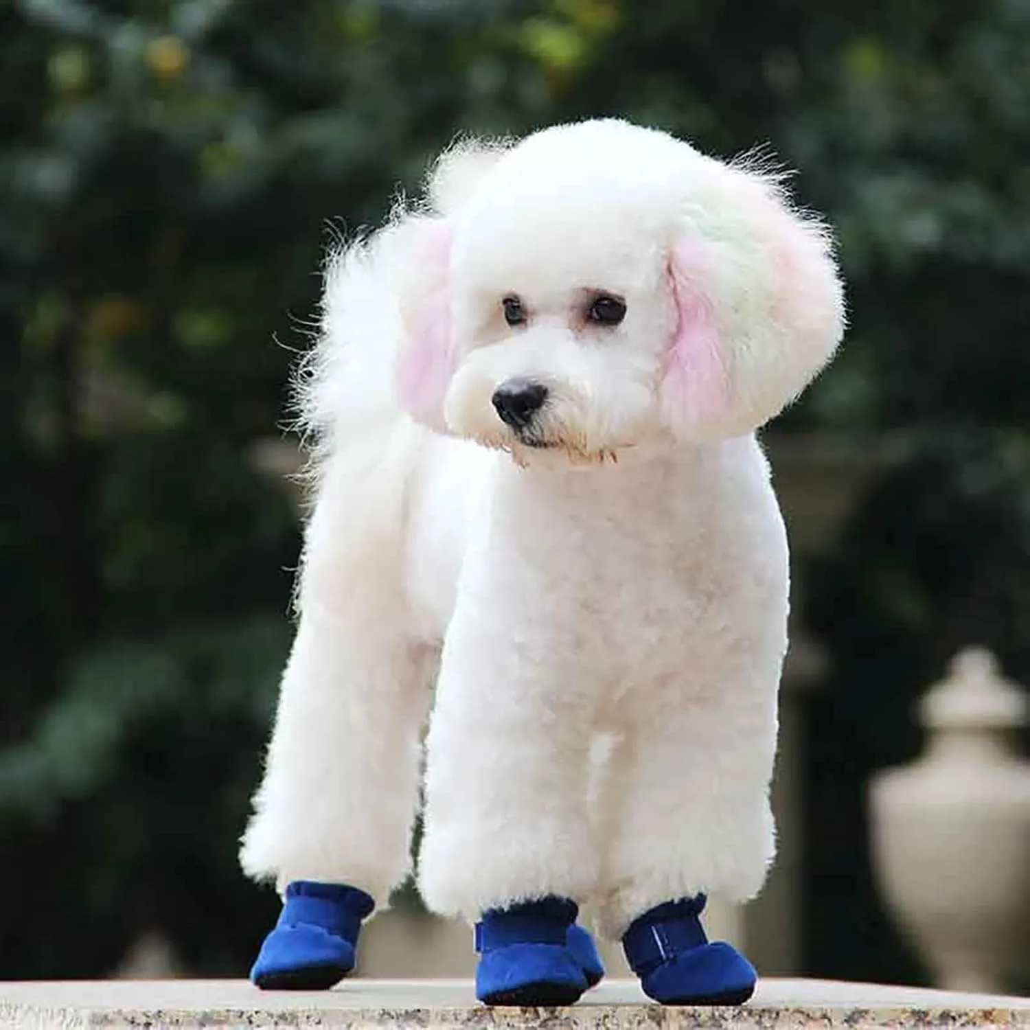 Dog Shoes Dog Boots Pet Shoes Winter Warm Sneakers Booties Pet Dog Shoes Puppy Shoes for Hot Pavement, 4-pcs Set